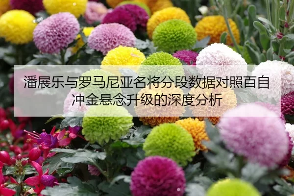 潘展乐与罗马尼亚名将分段数据对照百自冲金悬念升级的深度分析