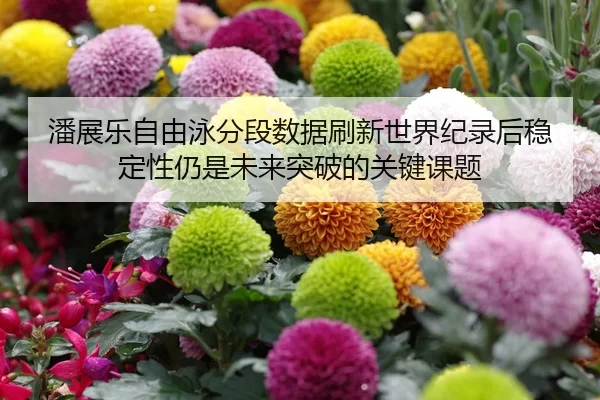 潘展乐自由泳分段数据刷新世界纪录后稳定性仍是未来突破的关键课题