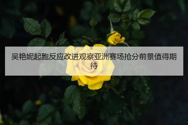 吴艳妮起跑反应改进观察亚洲赛场抢分前景值得期待