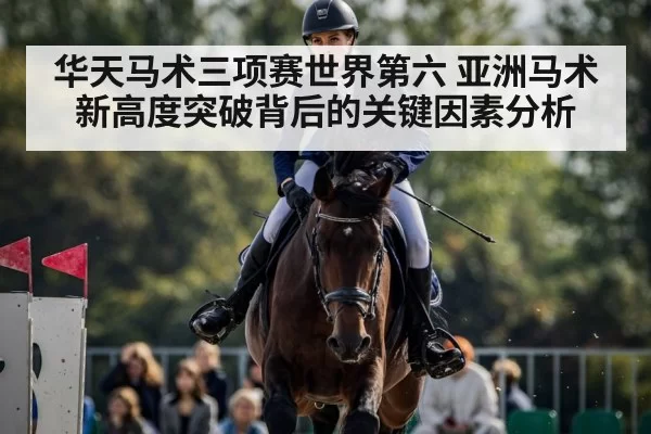 equestrian eventing competition