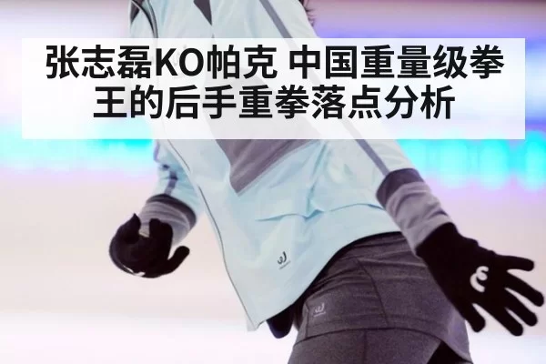 张志磊KO帕克 中国重量级拳王的后手重拳落点分析